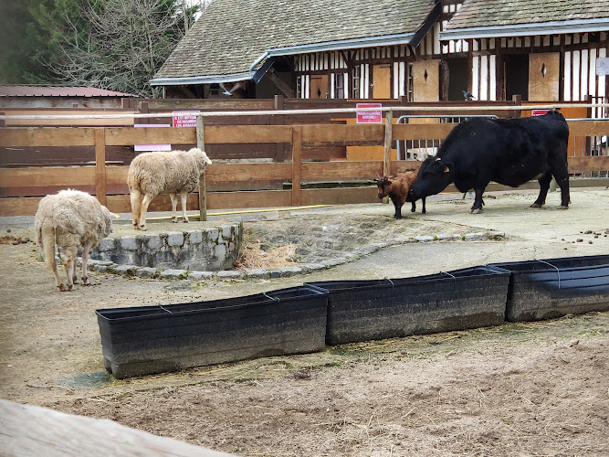 Courbet Park Farm