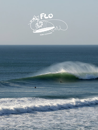 Flo Surf Coaching