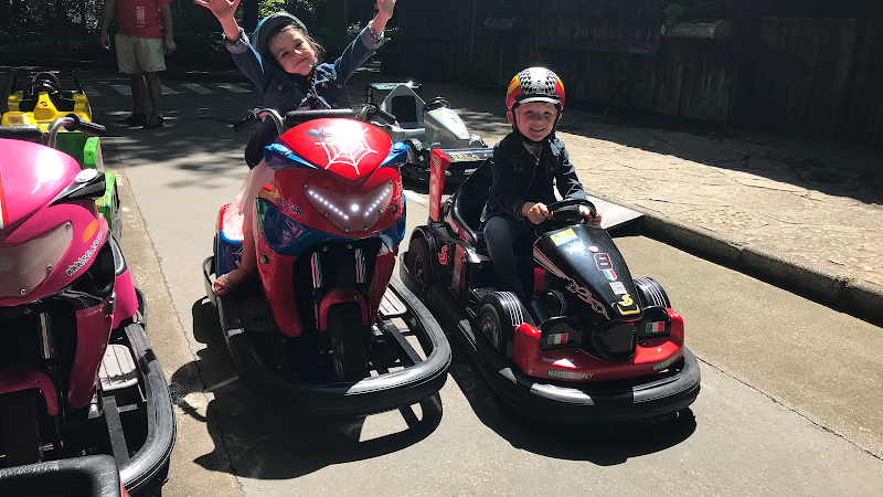 Mini karting du Parc de la Tête d'Or - LA PISTE DU BOIS