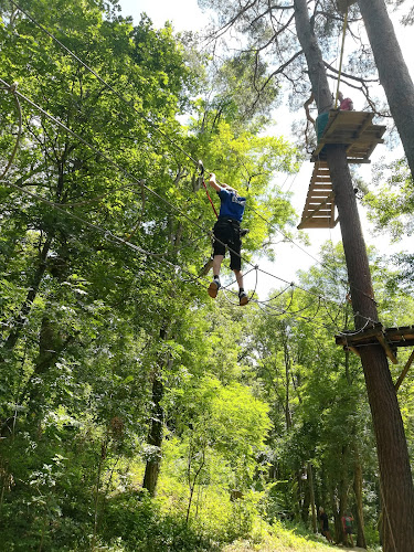 Parc aventure Haute Loire "Canopy en Forêt"